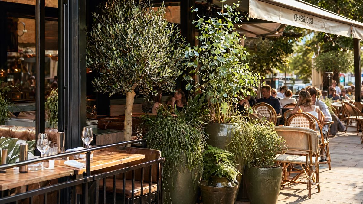 Brasserie terras met groen, rotanstoelen en Amsterdamse sfeer.